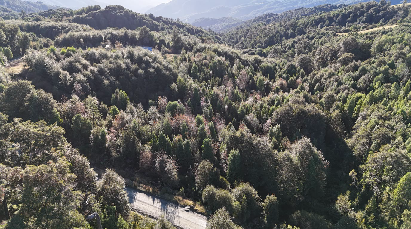 Vista panorámica de Bosques del Sarao, Patagonia